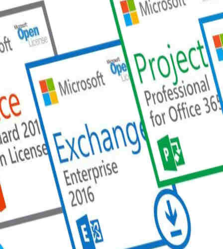 licencje microsoft